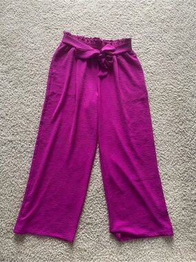 High-Rise Wide Leg Tie-Waist Pants in Vibrant Magenta